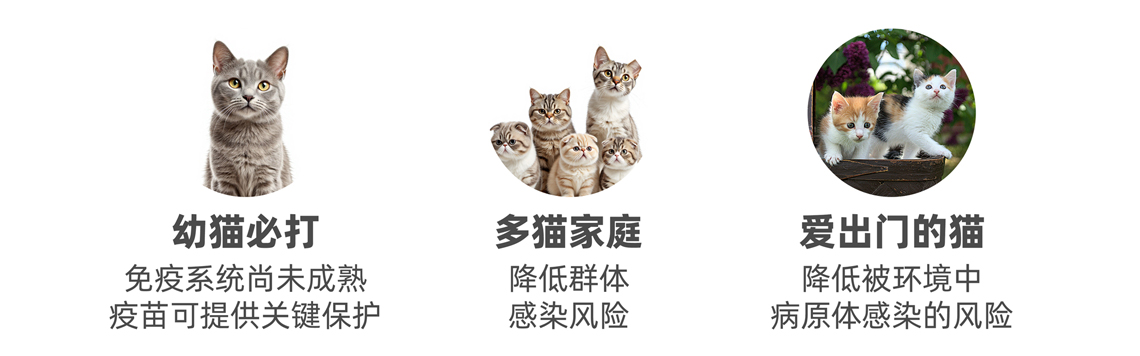 2234567配圖